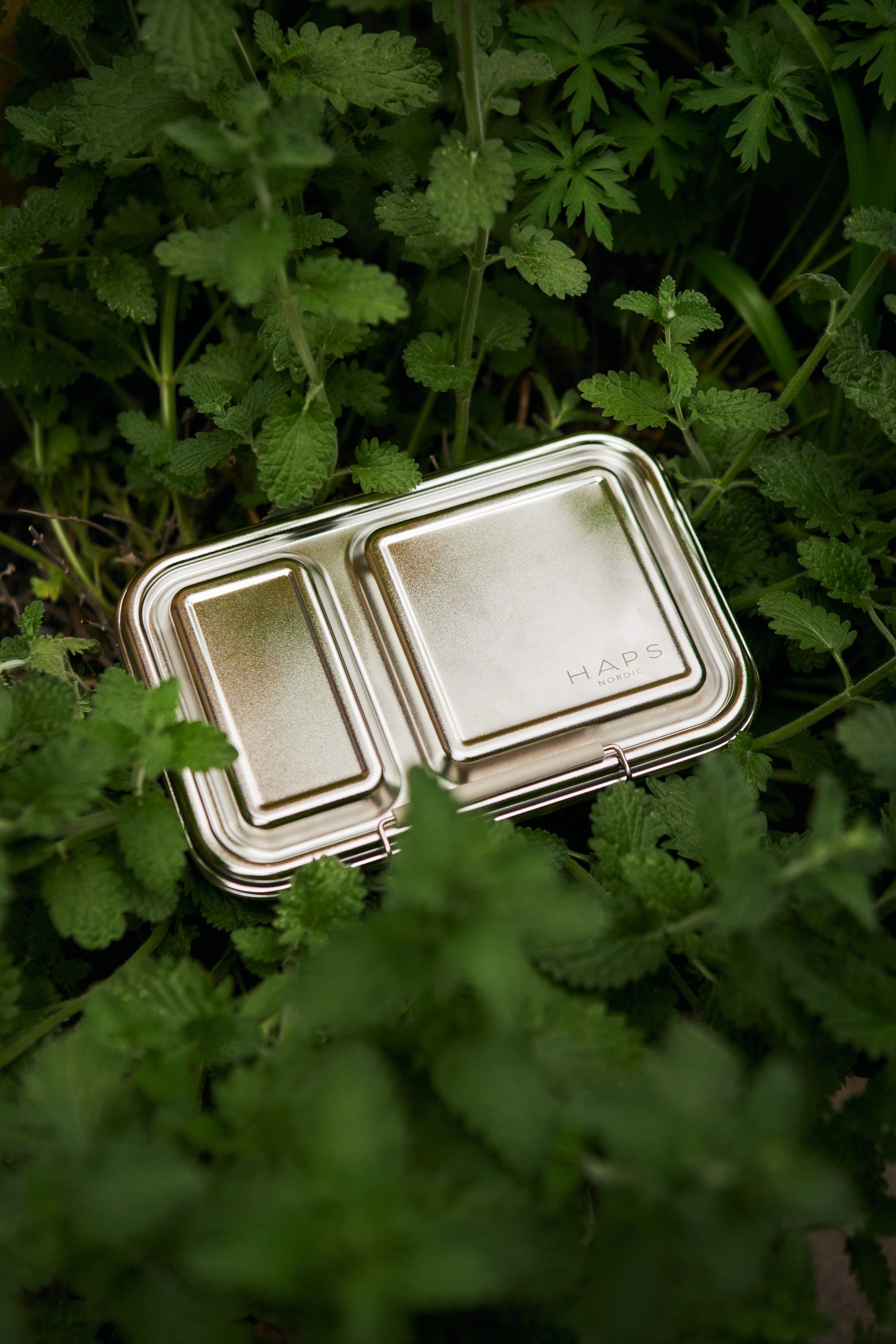 Lunchbox - 2 Fächer